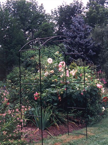 Monet Black Steel Garden Arch - The Orchard Home and Gifts